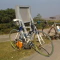 gitane