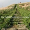 ad5897mstpc
