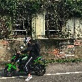 扭蛋會痛