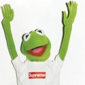 LSwoofy