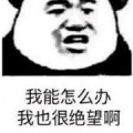 西爆你全家