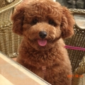 kuma1971