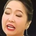 螞蟻上樹