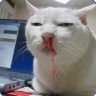 waimcat