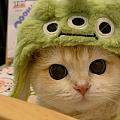 MachiCat_08