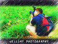 neilsay