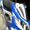 bassbass53772