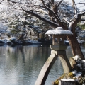 山姆大