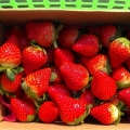cherry33