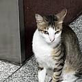 3b351978df672c0ce2ffec092deaf5d4.jpg
