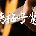 烏梅子醬