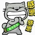 漂泊浪者