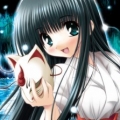 shinlove