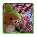 Yin3388