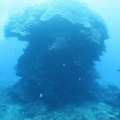 nimala7074