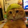 chiou-chun