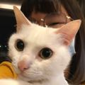 米若