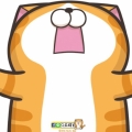 Fu甫