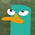 dodo1111