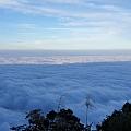 霧松虛寒