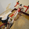 YanJia1233