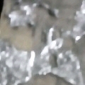 瘋子上網