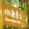 噗的噗