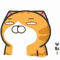 陳小柳