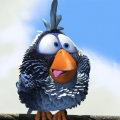 migou