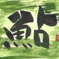 皮皮1213