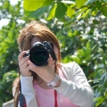 情淵