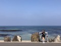 yangwennn