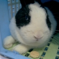 isabelle5272002