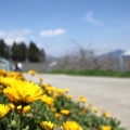 yuchieh.c