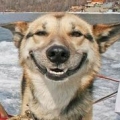 sppeter
