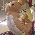 onesize
