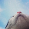 ❤躲貓貓❤