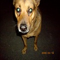 lerca