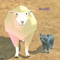 amber's_cat