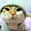 apoisapple