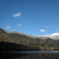 陳曉