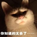 沒錢只能當阿宅...