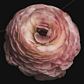 Weiru0923