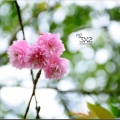 yiyi6513
