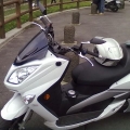 MAO-0000