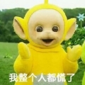 真天線寶寶