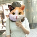 kathy533