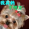 KDS方老师
