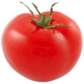 TOMATOx