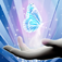 glowingbutterfly